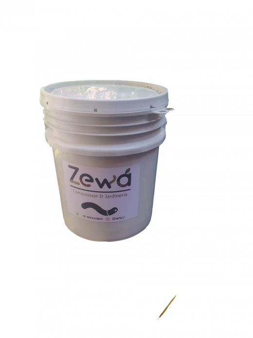 CANECA 19lts